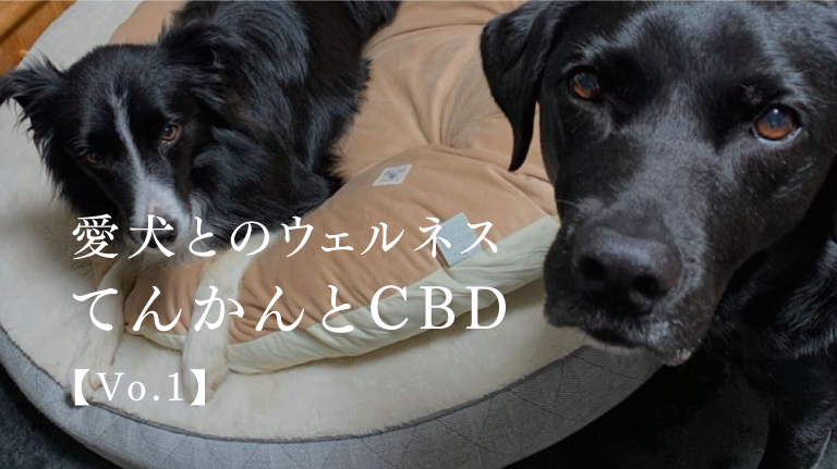 愛犬とのウェルネスーてんかんとCBDー [ Vol.1]