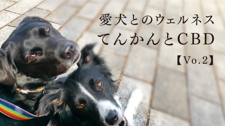 てんかんとCBDー愛犬とのウェルネスー [ Vol.2]