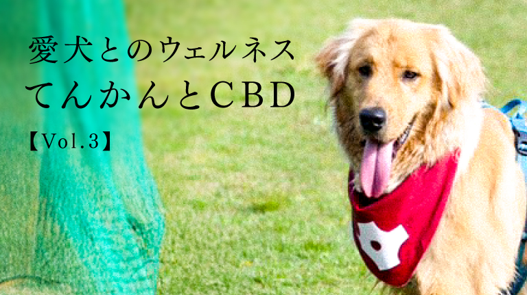 てんかんとCBDー愛犬(たべごろーくん)とのウェルネス [ Vol. 3]